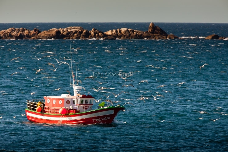 Barco pescando en Cee, provincia de A Coruña