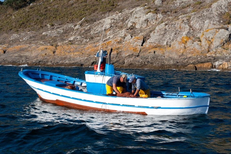 Barcos de pesca, ría de Vigo , Galicia