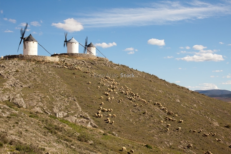MOlinos de Consuegra, Toledo,La Mancha
