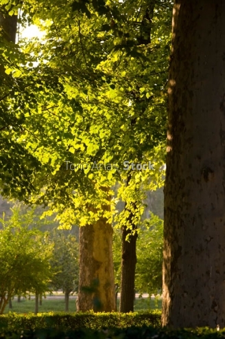  jardines de Aranjuez, Madrid,