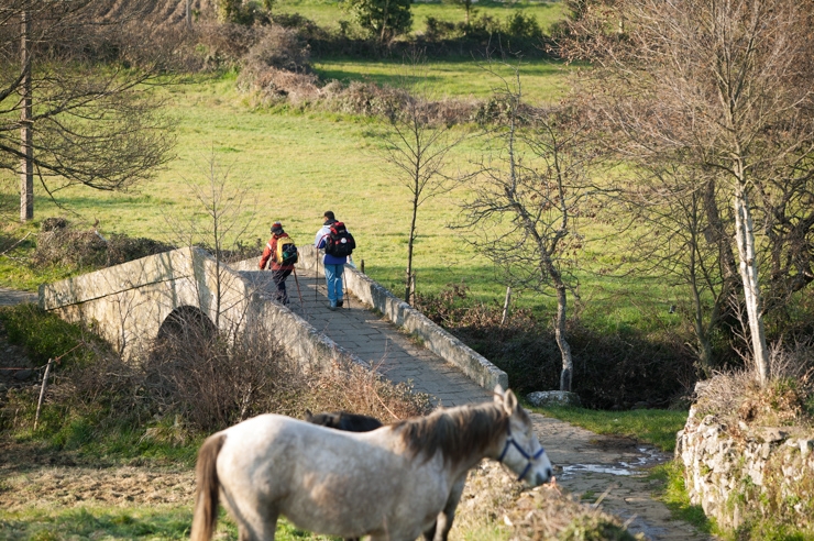  Road to Santiago,galicia, spain.