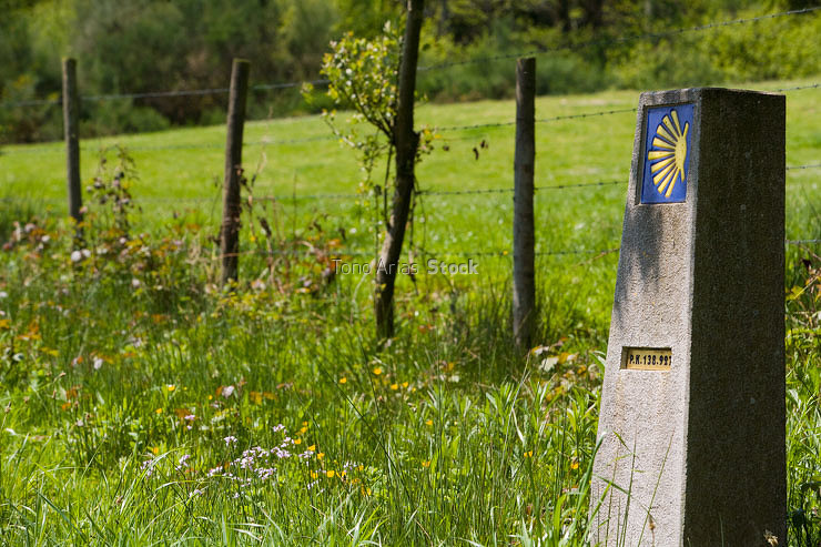 Abadín, Camiño do Norte