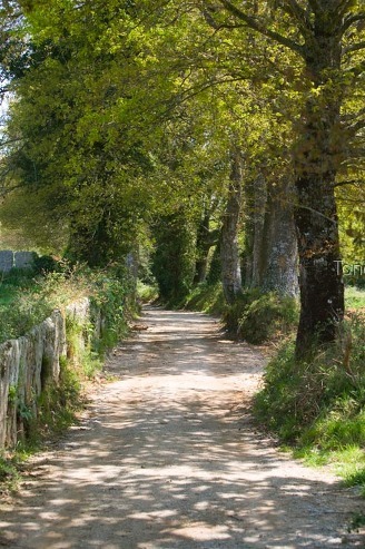 Abadín, Camiño do Norte