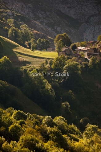 Bulnes, Picos de Europa