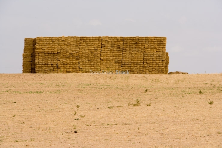Campo Segovia, Castilla León,