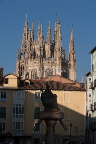 Catedral de Burgos 