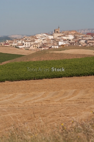 Cirauqui Navarra