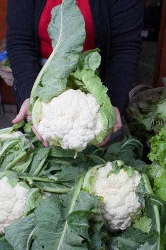 Coliflor, Mercado de Santiago, Galicia