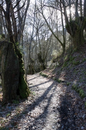 Courel, provincia de Lugo, Galicia