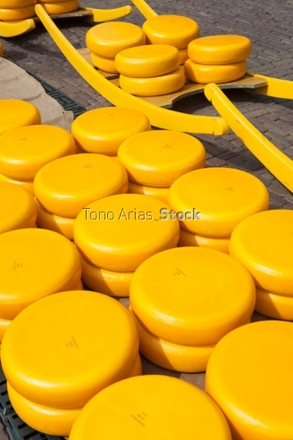 Feria del queso en Alkmart,Holanda,
