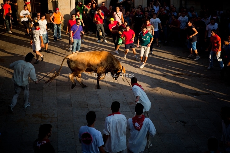 Festa do Boi, Allariz, provincia de Ourense, Galicia
