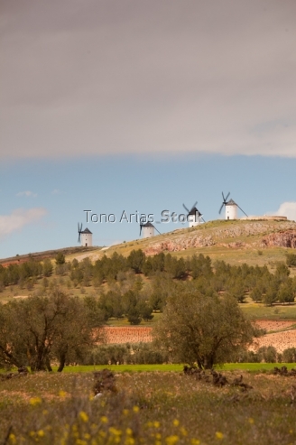 Molinos de Alcazar de San Juan, Castilla la Mancha