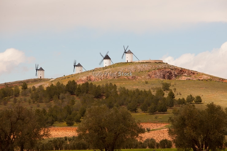 Molinos de Alcazar de San Juan, Castilla la Mancha