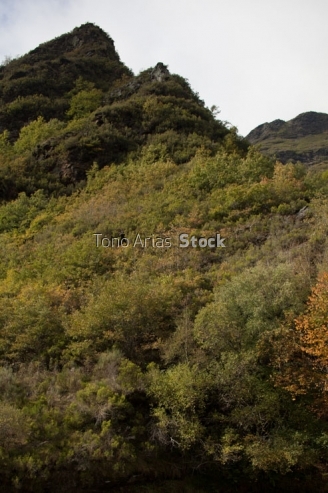 Paisaxe cerca de Ferramulín, O Caurel, provincia de Lugo, Galic
