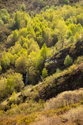 Paisaxe O Caurel, provincia de Lugo, Galicia