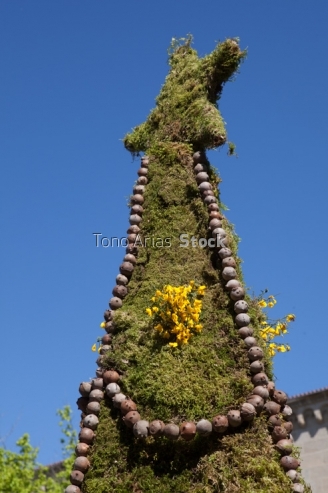 "Festa dos Maios" Ourense Galicia