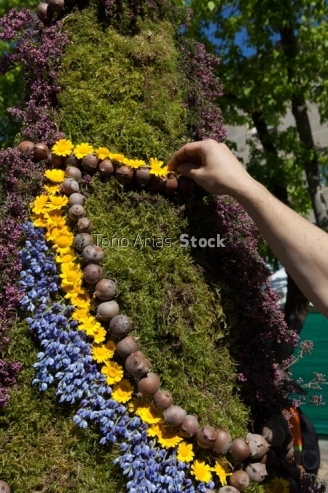 "Festa dos Maios" Ourense Galicia