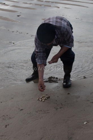 Recolledo berberechos na praia do pindo, Galicia