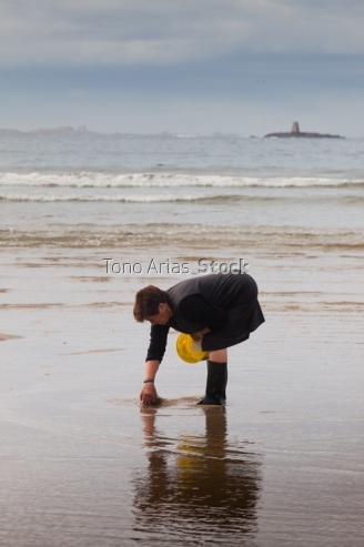 Recolledo berberechos na praia do pindo, Galicia