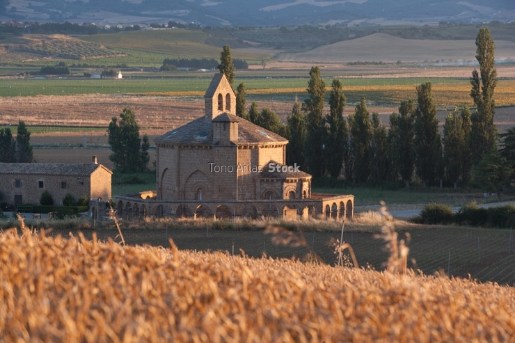 Santa María de Eunate Navarra