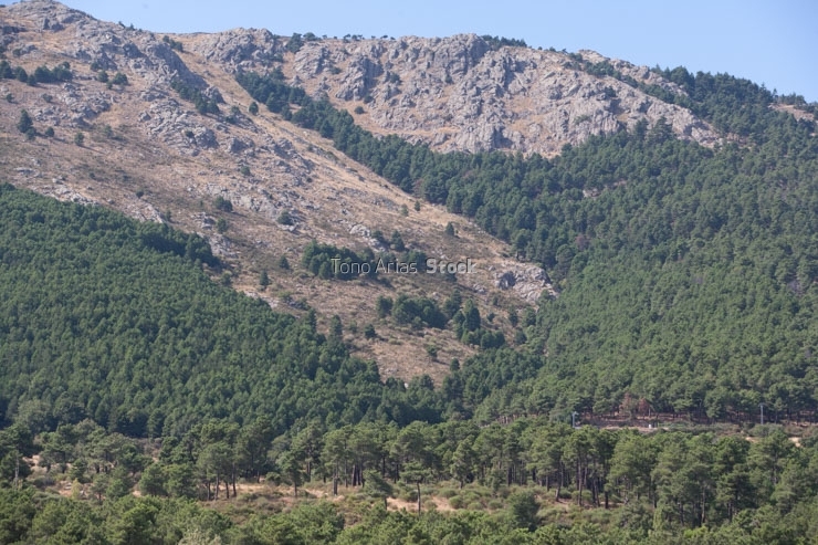Sierra de Madrid, El Escorial,